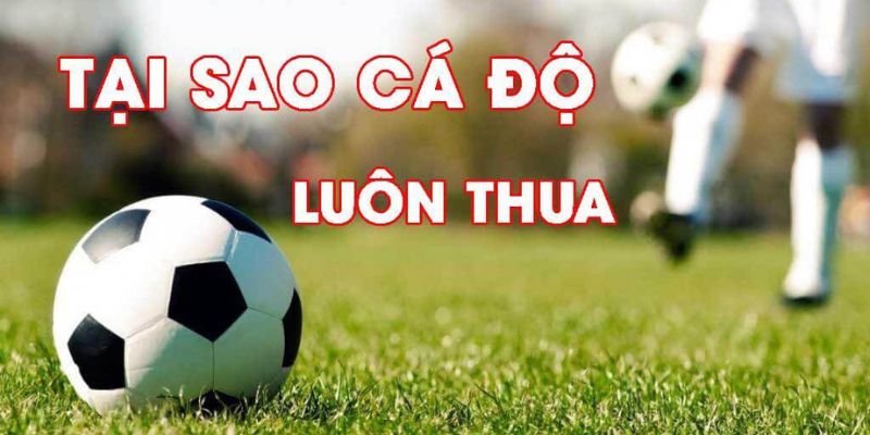 Cách hạn chế thua lỗ và tăng tỷ lệ thắng trong cá độ bóng đá cho anh em