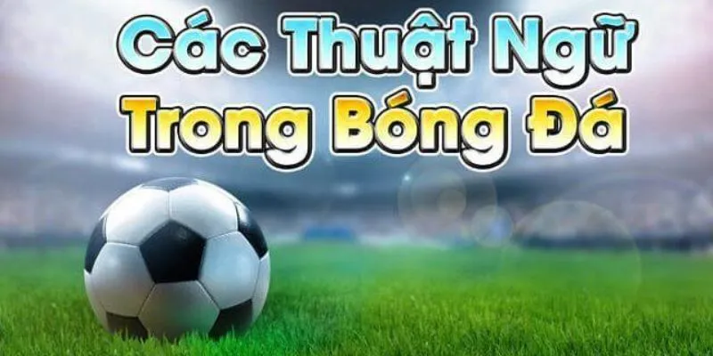 Khám phá các thuật ngữ liên quan đến tỷ lệ cược