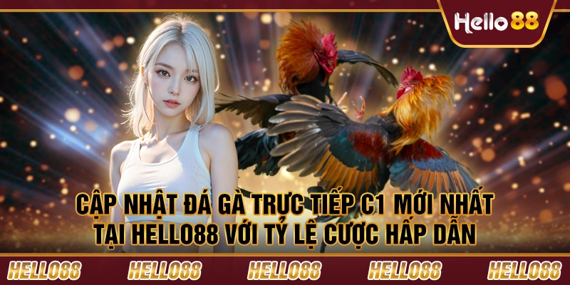 Cập nhật đá gà trực tiếp C1 mới nhất tại Hello88 với tỷ lệ cược hấp dẫn