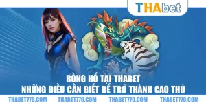 Rồng Hổ tại Thabet: Những điều cần biết để trở thành cao thủ